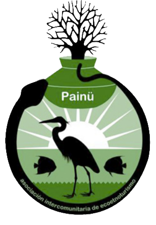 Logo Agencia Painu