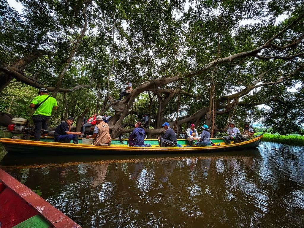 Árbol agua